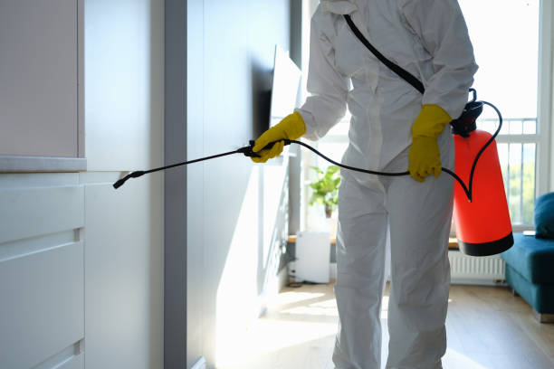 Home Mold Removal in Hurt, VA