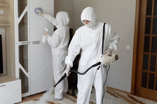 Best Professional Mold Removal  in Hurt, VA