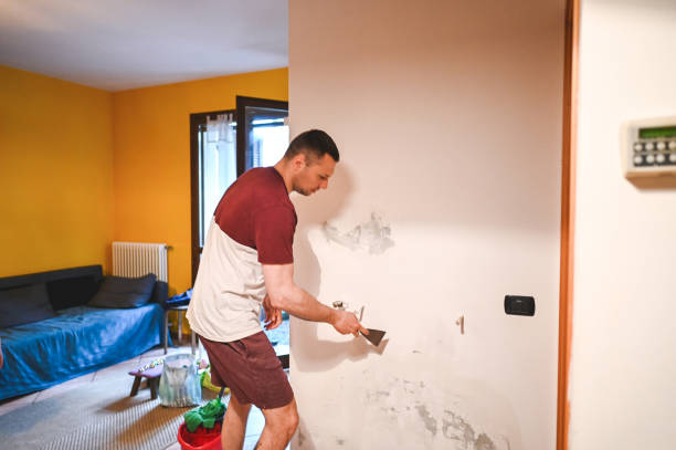 Best Local Mold Removal Service  in Hurt, VA